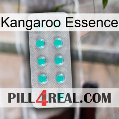 Kangaroo Essence 28